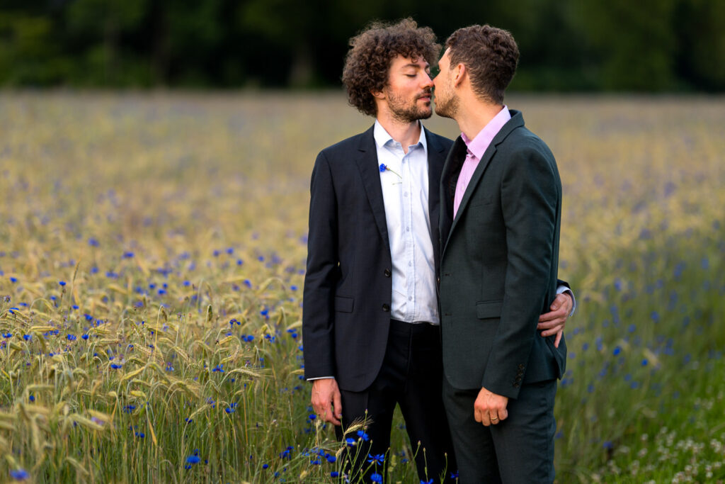 Verlobungspaar küsst sich romantisch in goldener Blumenwiese zur goldenen Stunde bei Freiburg.