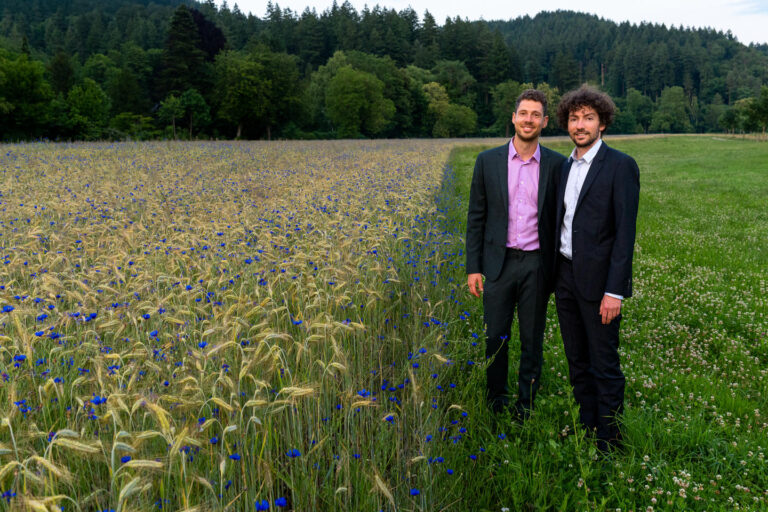 Verlobtes Paar in Business-Kleidung am Rand eines goldenen Getreidefeldes bei Freiburg.